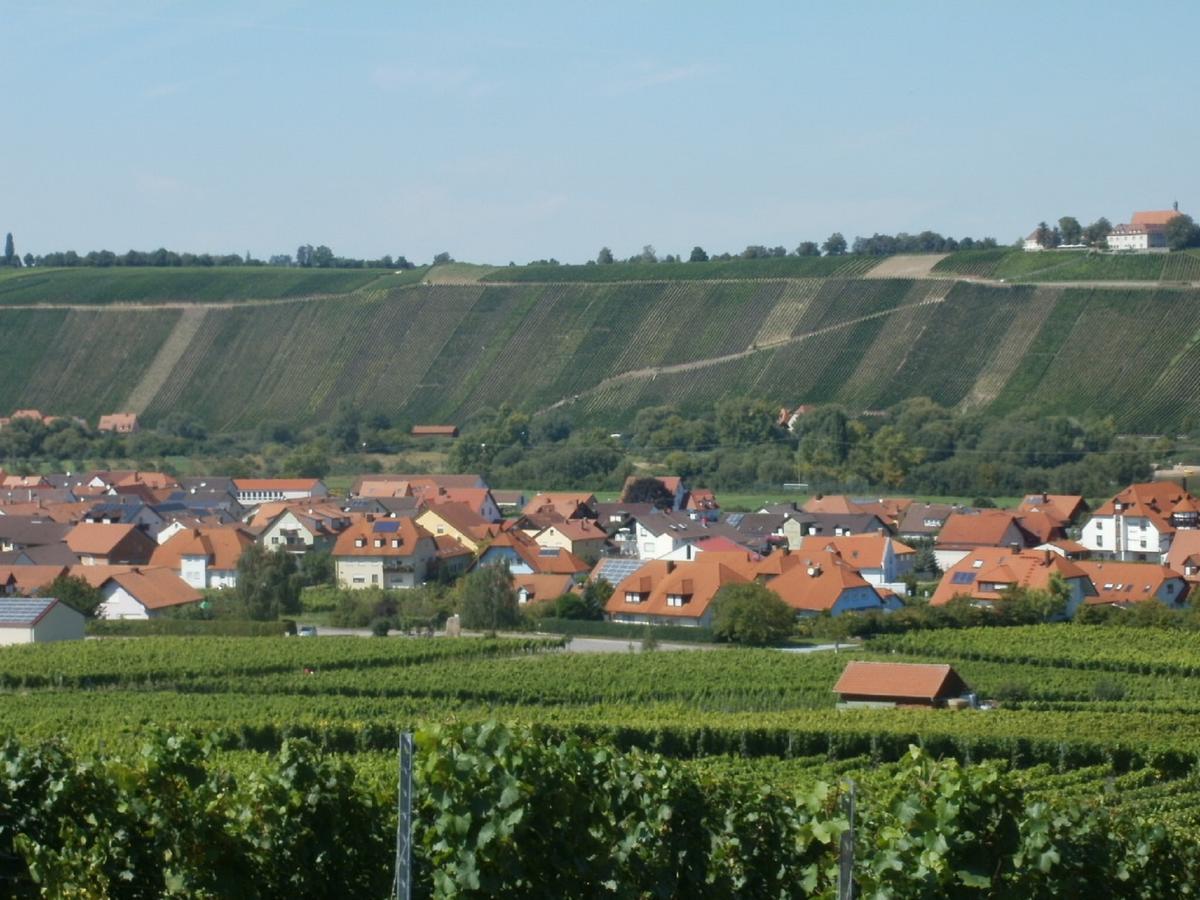 Gaestehof - Weinbau Saeger Nordheim am Main Exterior foto